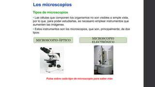 UNIDAD
1
Los microscopios
Tipos de microscopios
• Las células que componen los organismos no son visibles a simple vista,
por lo que, para poder estudiarlas, es necesario emplear instrumentos que
aumenten las imágenes.
• Estos instrumentos son los microscopios, que son, principalmente, de dos
tipos:
Pulsa sobre cada tipo de microscopio para saber más
MICROSCOPIO ÓPTICO
MICROSCOPIO
ELECTRÓNICO
 