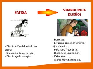 FATIGA
SOMNOLENCIA
(SUEÑO)
- Disminución del estado de
alerta.
- Sensación de cansancio.
- Disminuye la energía.
- Bostezos.
- Esfuerzo para mantener los
ojos abiertos.
- Parpadeo frecuente.
- Disminuye la atención.
- Cabeceos.
- Alerta muy disminuida.
 