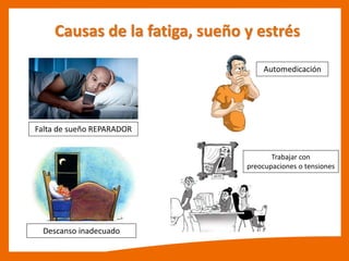 Causas de la fatiga, sueño y estrés
Falta de sueño REPARADOR
Descanso inadecuado
Automedicación
Trabajar con
preocupaciones o tensiones
 