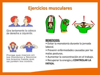 Ejercicios musculares
BENEFICIOS:
• Evitar la o oto ía dura te la jor ada
laboral.
• Preve ir e fer edades ausadas por las
malas posturas.
• Au e tar la o e tra ió e el tra ajo.
• Re uperar la e ergía y CONTROLAR LA
FATIGA.
 
