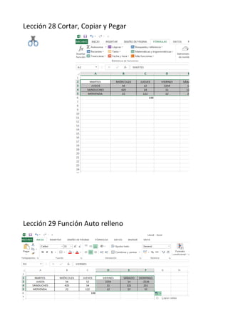 Lección 28 Cortar, Copiar y Pegar
Lección 29 Función Auto relleno
 