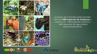 La fauna de Colombia aloja también
más de 3.000 especies de mariposas y
cuenta con 1.200 especies marinas y
1.600 especies de agua dulce
aproximadamente.
 