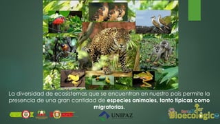 La diversidad de ecosistemas que se encuentran en nuestro país permite la
presencia de una gran cantidad de especies animales, tanto típicas como
migratorias.
 