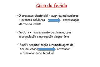 Cura do ferida
• O processo cicatricial = eventos moleculares
+ eventos celulares restauração
do tecido lesado
• Inicio: extravasamento de plasma, com
a coagulação e agregação plaquetária
• “Final”: reepitelização e remodelagem do
tecido lesado restaurar
a funcionalidade tecidual
 