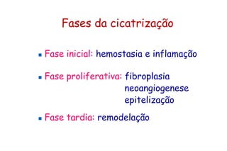 Fases da cicatrização
 Fase inicial: hemostasia e inflamação
 Fase proliferativa: fibroplasia
neoangiogenese
epitelização
 Fase tardia: remodelação
 