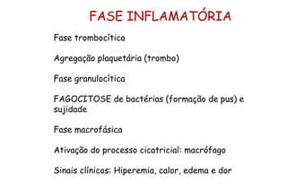 Fase trombocítica
Agregação plaquetária (trombo)
Fase granulocítica
FAGOCITOSE de bactérias (formação de pus) e
sujidade
Fase macrofásica
Ativação do processo cicatricial: macrófago
Sinais clínicos: Hiperemia, calor, edema e dor
FASE INFLAMATÓRIA
 