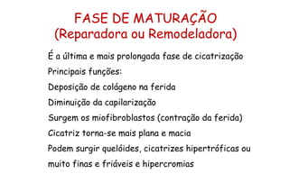 É a última e mais prolongada fase de cicatrização
Principais funções:
Deposição de colágeno na ferida
Diminuição da capilarização
Surgem os miofibroblastos (contração da ferida)
Cicatriz torna-se mais plana e macia
Podem surgir quelóides, cicatrizes hipertróficas ou
muito finas e friáveis e hipercromias
FASE DE MATURAÇÃO
(Reparadora ou Remodeladora)
 
