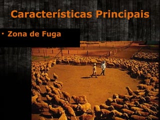 Características Principais Zona de Fuga 