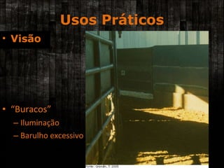 “ Buracos” Iluminação Barulho excessivo Usos Práticos Visão 