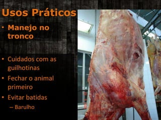 Cuidados com as guilhotinas Fechar o animal primeiro Evitar batidas  Barulho Usos Práticos Manejo no tronco 