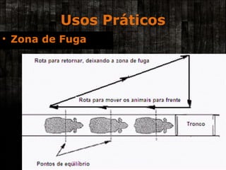 Usos Práticos Zona de Fuga 