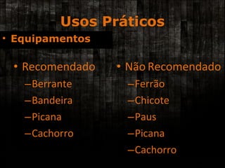 Usos Práticos Recomendado Berrante Bandeira Picana Cachorro Não   Recomendado Ferrão Chicote Paus Picana Cachorro Equipamentos 