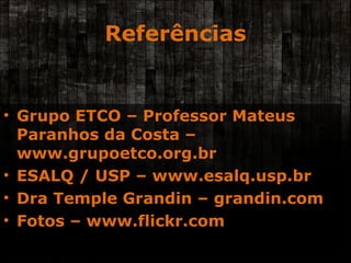 Referências Grupo ETCO – Professor Mateus Paranhos da Costa – www.grupoetco.org.br ESALQ / USP – www.esalq.usp.br Dra Temple Grandin – grandin.com Fotos – www.flickr.com 