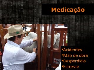 Medicação Acidentes Mão de obra Desperdício Estresse 