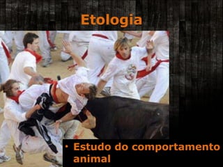 Etologia Estudo do comportamento animal 