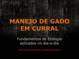 MANEJO DE GADO EM CURRAL Fundamentos de Etologia aplicados no dia-a-dia Hamilton Luiz de Nadai – MM Planejamento 