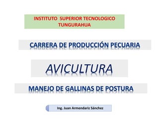 AVICULTURA
Ing. Juan Armendariz Sánchez
INSTITUTO SUPERIOR TECNOLOGICO
TUNGURAHUA
 