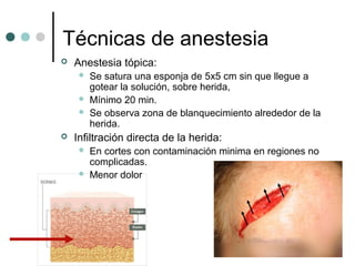 Técnicas de anestesia
 Anestesia tópica:
 Se satura una esponja de 5x5 cm sin que llegue a
gotear la solución, sobre herida,
 Mínimo 20 min.
 Se observa zona de blanquecimiento alrededor de la
herida.
 Infiltración directa de la herida:
 En cortes con contaminación minima en regiones no
complicadas.
 Menor dolor
 