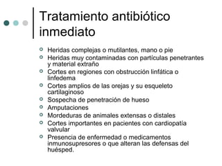 Tratamiento antibiótico
inmediato
 Heridas complejas o mutilantes, mano o pie
 Heridas muy contaminadas con partículas penetrantes
y material extraño
 Cortes en regiones con obstrucción linfática o
linfedema
 Cortes amplios de las orejas y su esqueleto
cartilaginoso
 Sospecha de penetración de hueso
 Amputaciones
 Mordeduras de animales extensas o distales
 Cortes importantes en pacientes con cardiopatía
valvular
 Presencia de enfermedad o medicamentos
inmunosupresores o que alteran las defensas del
huésped.
 