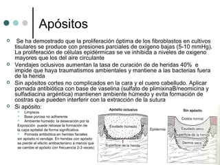 Apósitos
 Se ha demostrado que la proliferación óptima de los fibroblastos en cultivos
tisulares se produce con presiones parciales de oxígeno bajas (5-10 mmHg).
La proliferación de células epidérmicas se ve inhibida a niveles de oxigeno
mayores que los del aire circulante
 Vendajes oclusivos aumentan la tasa de curación de de heridas 40% e
impide que haya traumatismos ambientales y mantiene a las bacterias fuera
de la herida
 Sin apósitos cortes no complicados en la cara y el cuero cabelludo. Aplicar
pomada antibiótica con base de vaselina (sulfato de plimixinaB/neomicina y
sulfadiacina argéntica) mantienen ambiente húmedo y evita formación de
costras que pueden interferir con la extracción de la sutura
 Si apósito:
 Limpieza
 Base porosa no adherente
 Ambiente húmedo: la desecación por la
Exposición puede retrasar la formación de
la capa epitelial de forma significativa.
 Pomada antibiótica en heridas faciales
sin apósito ni vendaje. En heridas con apósito
se pierde el efecto antibacteriano a menos que
se cambie el apósito con frecuencia 2-3 veces)
 