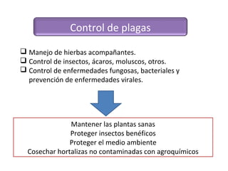 Control de plagas
 Manejo de hierbas acompañantes.
 Control de insectos, ácaros, moluscos, otros.
 Control de enfermedades fungosas, bacteriales y
  prevención de enfermedades virales.




               Mantener las plantas sanas
               Proteger insectos benéficos
               Proteger el medio ambiente
  Cosechar hortalizas no contaminadas con agroquímicos
 