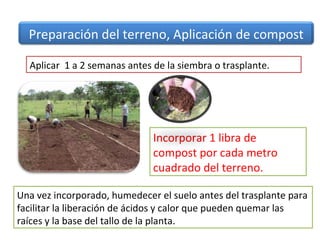 Preparación del terreno, Aplicación de compost

  Aplicar 1 a 2 semanas antes de la siembra o trasplante.




                              Incorporar 1 libra de
                              compost por cada metro
                              cuadrado del terreno.

Una vez incorporado, humedecer el suelo antes del trasplante para
facilitar la liberación de ácidos y calor que pueden quemar las
raíces y la base del tallo de la planta.
 
