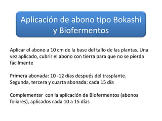Aplicación de abono tipo Bokashi
             y Biofermentos

Aplicar el abono a 10 cm de la base del tallo de las plantas. Una
vez aplicado, cubrir el abono con tierra para que no se pierda
fácilmente

Primera abonada: 10 -12 días después del trasplante.
Segunda, tercera y cuarta abonada: cada 15 día

Complementar con la aplicación de Biofermentos (abonos
foliares), aplicados cada 10 a 15 días
 