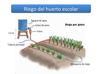 Riego del huerto escolar
                    Tanque de agua
                        Llave de paso   Riego por goteo

                         Filtro
1.5 m



Tubería principal




                                            Manguera de riego
 