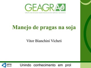 Unindo conhecimento em prol
Manejo de pragas na soja
Vitor Bianchini Vicheti
 