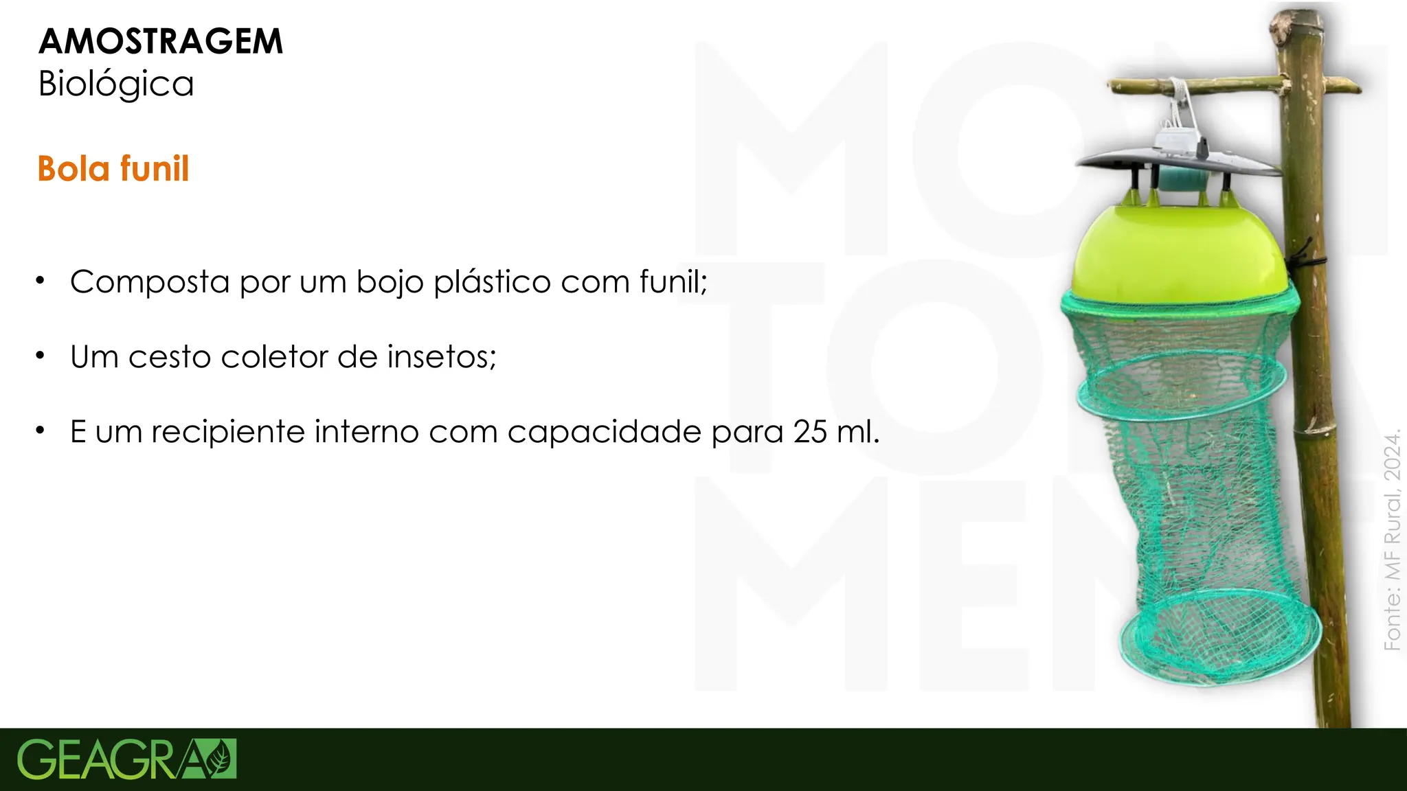 10
AMOSTRAGEM
Biológica
Bola funil
• Composta por um bojo plástico com funil;
• Um cesto coletor de insetos;
• E um recipiente interno com capacidade para 25 ml.
Fonte:
MF
Rural,
2024.
 