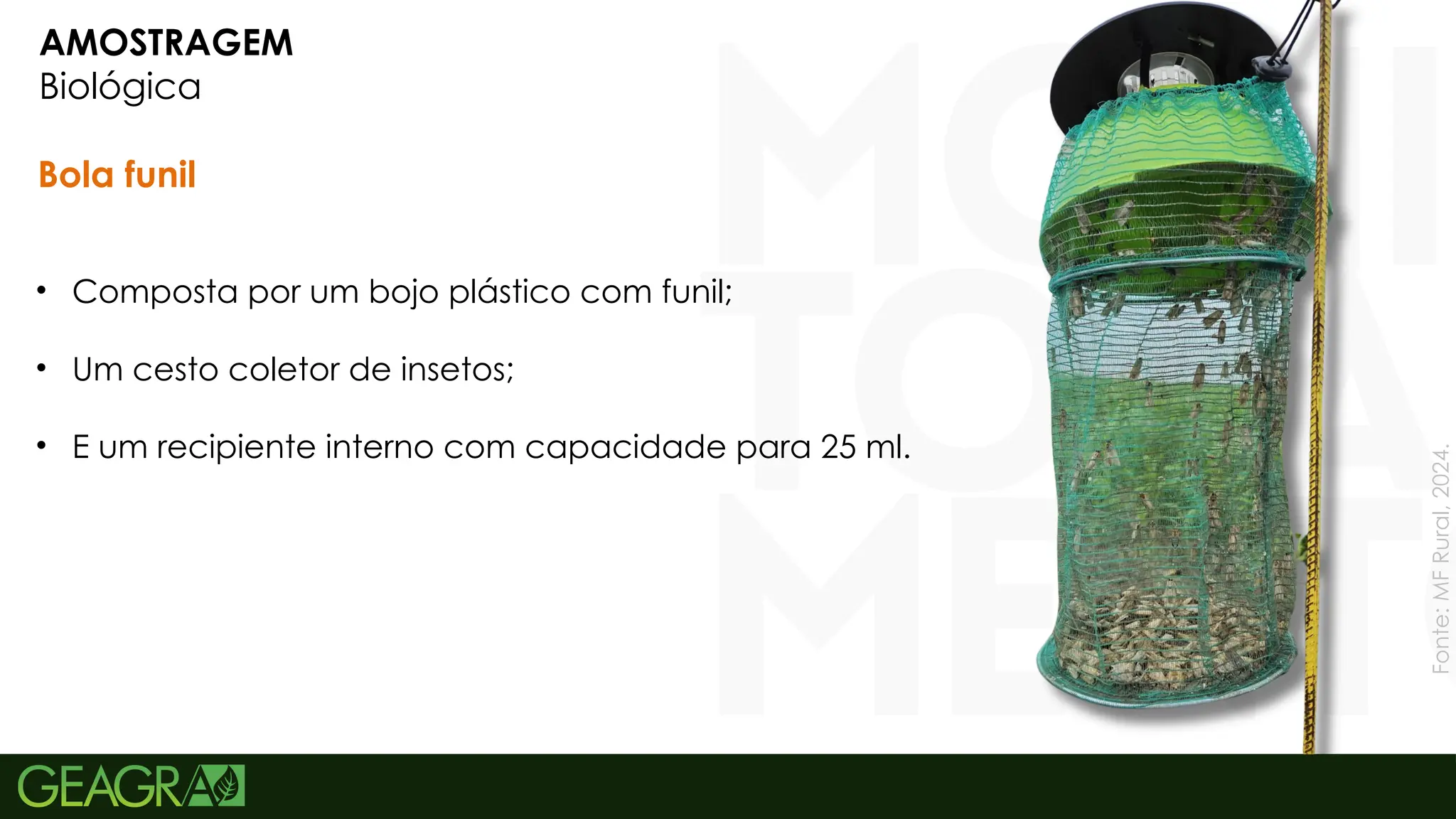 11
AMOSTRAGEM
Biológica
Bola funil
• Composta por um bojo plástico com funil;
• Um cesto coletor de insetos;
• E um recipiente interno com capacidade para 25 ml.
Fonte:
MF
Rural,
2024.
 