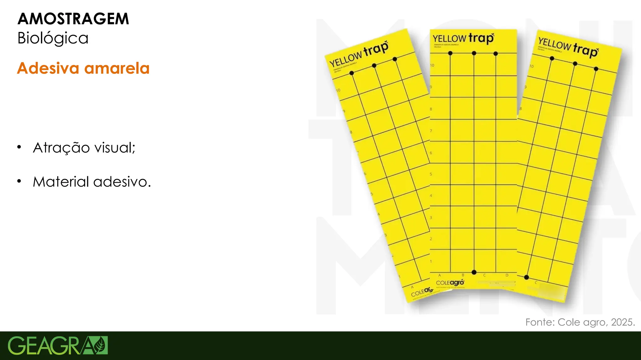 13
AMOSTRAGEM
Biológica
• Atração visual;
• Material adesivo.
Adesiva amarela
Fonte: Cole agro, 2025.
 