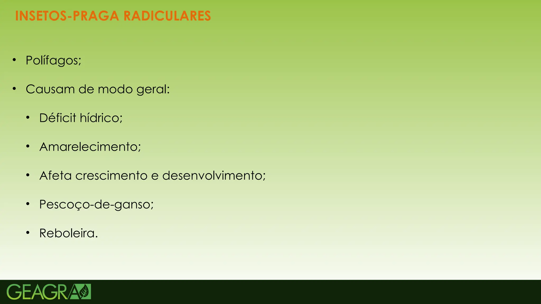 16
INSETOS-PRAGA RADICULARES
• Polífagos;
• Causam de modo geral:
• Déficit hídrico;
• Amarelecimento;
• Afeta crescimento e desenvolvimento;
• Pescoço-de-ganso;
• Reboleira.
 