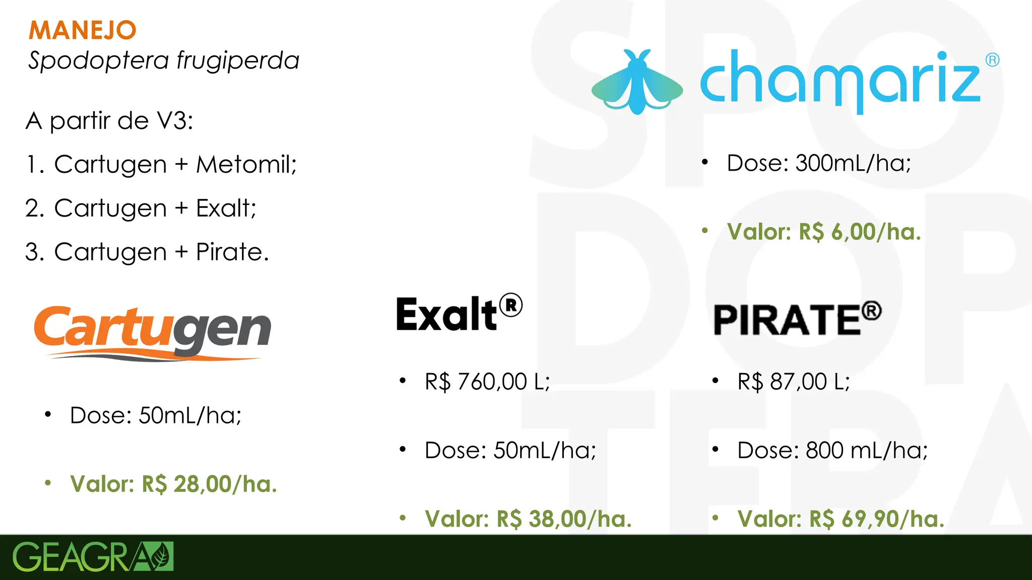 32
A partir de V3:
1. Cartugen + Metomil;
2. Cartugen + Exalt;
3. Cartugen + Pirate.
MANEJO
Spodoptera frugiperda
• Dose: 50mL/ha;
• Valor: R$ 28,00/ha.
• Dose: 300mL/ha;
• Valor: R$ 6,00/ha.
• R$ 87,00 L;
• Dose: 800 mL/ha;
• Valor: R$ 69,90/ha.
• R$ 760,00 L;
• Dose: 50mL/ha;
• Valor: R$ 38,00/ha.
 