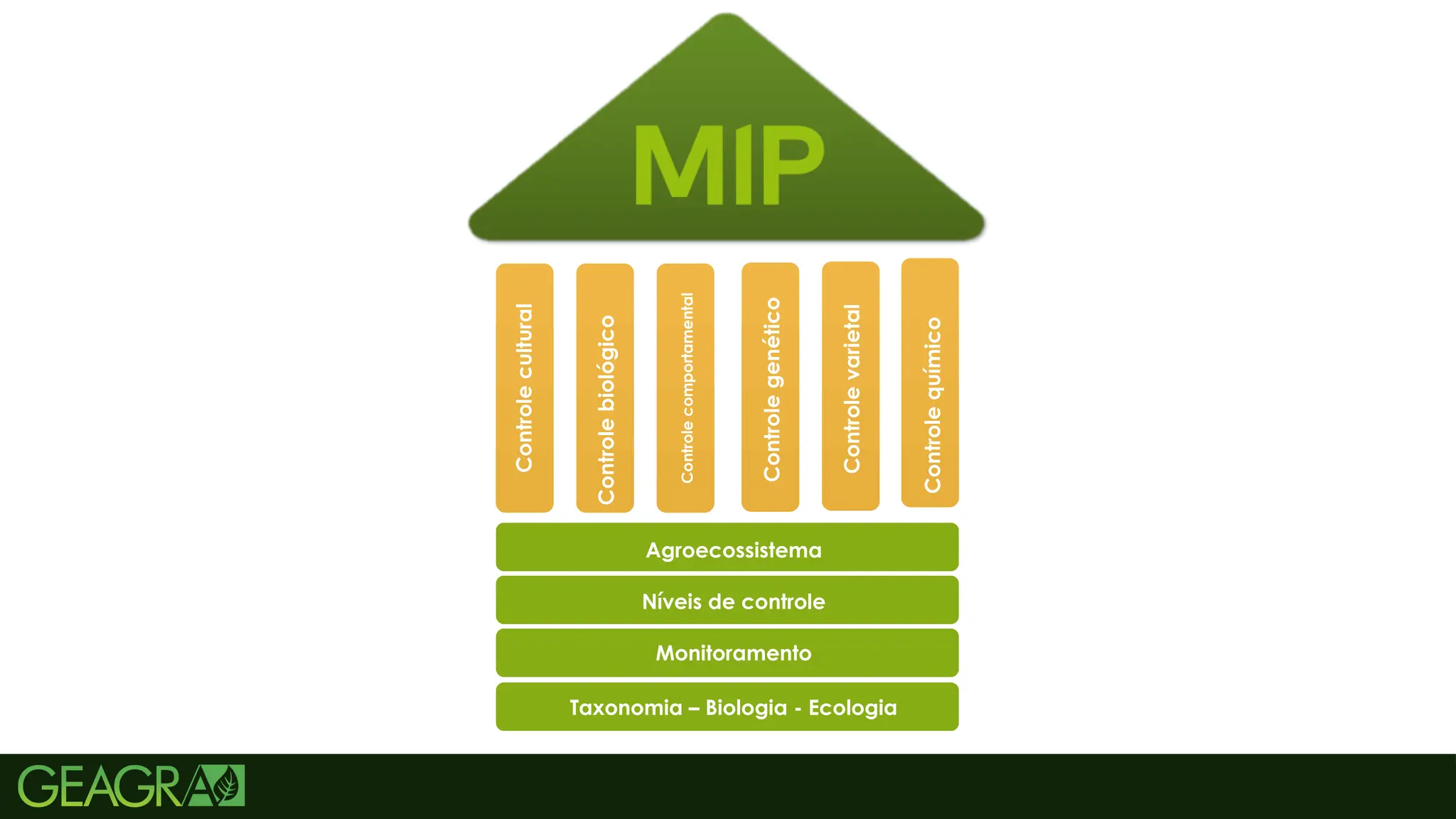 5
Taxonomia – Biologia - Ecologia
Monitoramento
Níveis de controle
Agroecossistema
Controle
cultural
Controle
biológico
Controle
comportamental
Controle
genético
Controle
varietal
Controle
químico
 
