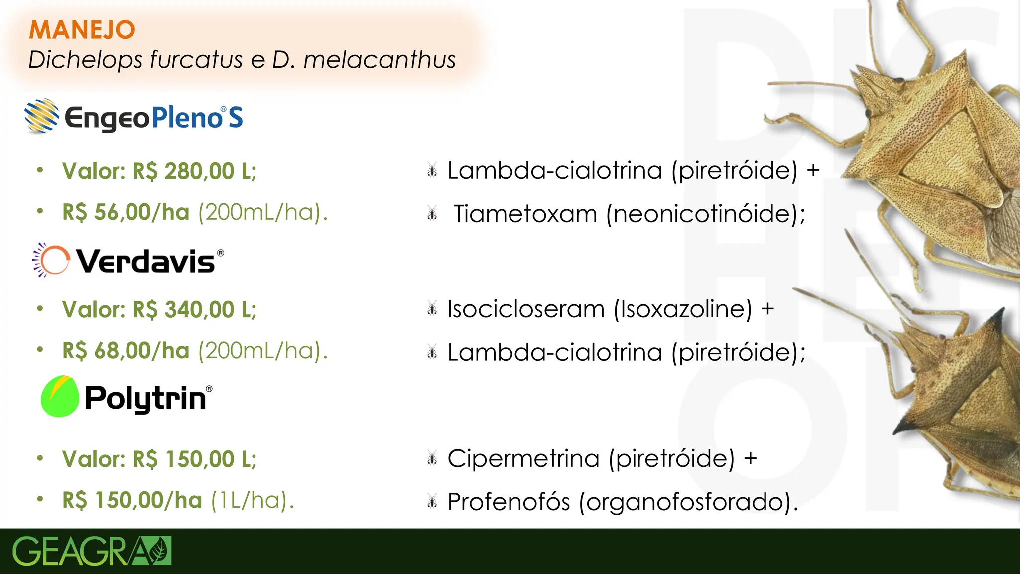 51
Cipermetrina (piretróide) +
Profenofós (organofosforado).
Lambda-cialotrina (piretróide) +
Tiametoxam (neonicotinóide);
Isocicloseram (Isoxazoline) +
Lambda-cialotrina (piretróide);
MANEJO
Dichelops furcatus e D. melacanthus
• Valor: R$ 280,00 L;
• R$ 56,00/ha (200mL/ha).
• Valor: R$ 340,00 L;
• R$ 68,00/ha (200mL/ha).
• Valor: R$ 150,00 L;
• R$ 150,00/ha (1L/ha).
 