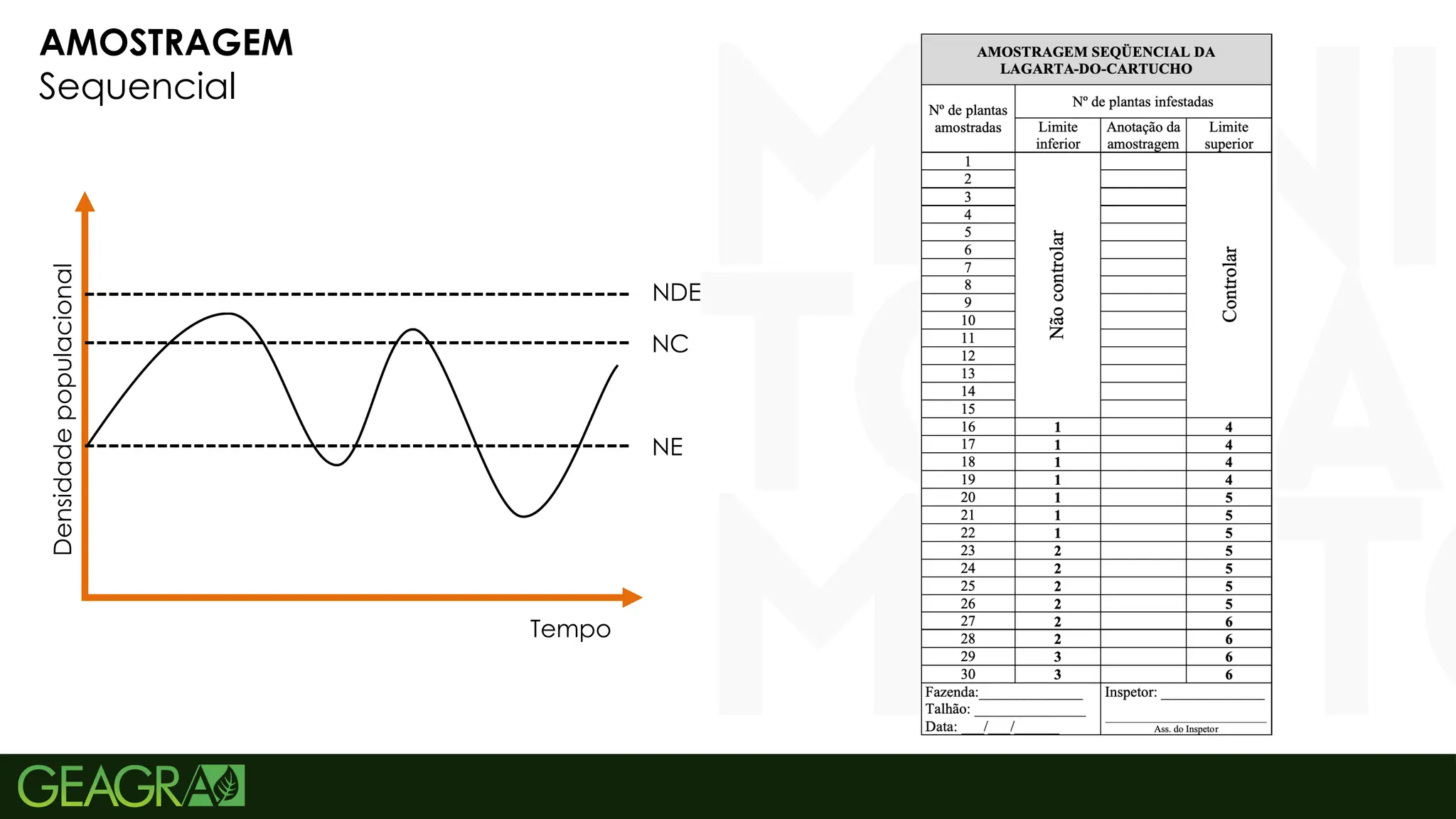 8
AMOSTRAGEM
Sequencial
Densidade
populacional
Tempo
NE
NC
NDE
 