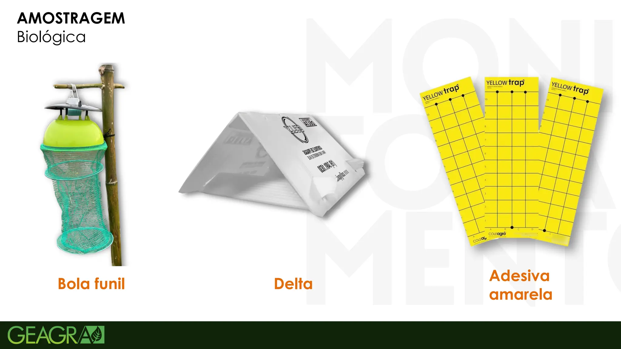 9
AMOSTRAGEM
Biológica
Bola funil Delta
Adesiva
amarela
 