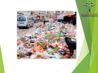 Manejo de la basura en Santa Cruz | PPTX