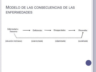 MODELO DE LAS CONSECUENCIAS DE LAS
ENFERMEDADES
 