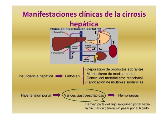 Como determinar el grado del alcoholismo el test