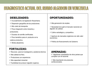 DEBILIDADES:
 Incumplimiento de legislación fitosanitaria.
 Dispersión geográfica de los productores.
 Alto costo de transporte.
 Poca integración entre industria y
productores.
 Escasez de semilla certificadas.
 Poco beneficio para el productor en la
cadena productiva.
 Ilícitos aduaneros.
FORTALEZAS:
 Recursos para la investigación y asistencia técnica
 Alta calidad de fibra.
 Productores con experiencia.
 Alta capacidad industrial.
 Factibilidad de producir algodón orgánico.
AMENAZAS:
 Algodones subsidiados de otros países que
compiten con el nacional.
 Alta importación de productos
confeccionados.
OPORTUNIDADES:
 Alta generación de empleo.
 Necesidad de suplir el mercado nacional con
algodón de calidad.
 Cultivo estratégico y competitivo.
 Apertura de mercados orgánicos con alto valor
económico.
 Política de financiamiento de Gobierno
 
