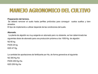 Preparación del terreno.
Se deberá remover el suelo hasta perfiles profundos para conseguir suelos sueltos y bien
aireados.
El tipo de implemento a utilizar depende de las condiciones del suelo.
Abonado.
La planta de algodón es muy exigente en abonado pero no obstante, se han determinado las
siguientes dosis de abonado para una producción próxima a los 1000 Kg. de algodón:
N2 60 kg.
P2O5 25 kg.
K2O 47 Kg.
La cantidad de aportaciones de fertilizante por Ha, de forma general es el siguiente:
N2 300 Kg./ha
P2O5 250 Kg./ha.
K2O 250 Kg./ha
 