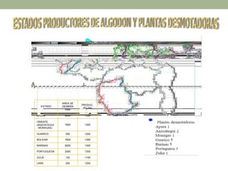 ESTADO
AREA DE
SIEMBRA
(has)
PRODUC.
(Kg./ha)
APURE 8000 1250
ORIENTE
(ANZOATEGUI
- MONAGAS)
7650 1300
GUARICO 450 1200
BOLIVAR 7500 1350
BARINAS 9200 1300
PORTUGUESA 2000 1250
ZULIA 120 1150
LARA 200 1200
APURE
BOLIVAR
GUARICO
LARA
BARINA
 