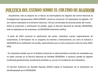 Actualmente, sólo se dispone de un Banco de Germoplasma de Algodón del Centro Nacional de
Investigaciones Agropecuarias (INIA-CENIAP), donde se conservan 313 ejemplares de algodón, 161
son nativos colectados en el territorio nacional y 152 son comerciales de diversas partes del mundo.
Sobre la producción y certificación de semilla, según el Servicio Nacional de Semilla (SENASEM),
esta es realizada por las empresas y el SENASEM solamente certifica.
A partir de 2003 comenzó la reactivación del sector; creándose nuevas organizaciones de
cooperativas, la formulación de un programa de siembra y financiamiento; así como la solicitud a
SENASEM de la certificación de semilla, observándose que no hubo producción entre los años 2000-
2002.
Es importante señalar que en el Gobierno Nacional no está permitida la siembra de variedades que
no estén inscritas en el Servicio Nacional de Semillas SENASEM; ni tampoco semilla de algodón
modificada genéticamente; actualmente prohibido su uso por la Constitución de la República.
El Servicio Autónomo de Sanidad Agrícola (SASA) realiza la fiscalización de la importación de
semilla apoyado por el SENASEM.
 
