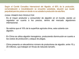 Según el Comité Consultivo Internacional del Algodón, el 60% de la producción,
comercialización e industrialización se encuentra subsidiada, situación que resulta
perjudicial para los países en donde no se subsidia la producción de esta fibra.
CHINA: PRIMER PAIS PRODUCTOR
• Es el mayor productor y consumidor de algodón en el mundo, siendo un
regulador en cuanto a los precios, dentro del mercado algodonero
internacional.
• Se estima que el 10% de la superficie agrícola china, esta cubierta con
algodón.
• En China se utiliza algodón transgénico, produciendo disminución en cuanto a
los costos de producción y ataque de plagas.
• China presenta un elevadísimo número de productores de algodón, entre 10 y
20 millones, que trabajan en fincas de reducido tamaño.
.
 