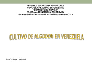 REPUBLICA BOLIVARIANA DE VENEZUELA
UNIVERSIDAD NACIONAL EXPERIMENTAL
“FRANCISCO DE MIRANDA”
PROGRAMA DE INGENIERÍA AGRONÓMICA
UNIDAD CURRICULAR: SISTEMA DE PRODUCCIÓN CULTIVOS IV
Prof. Dilson Gutiérrez
 