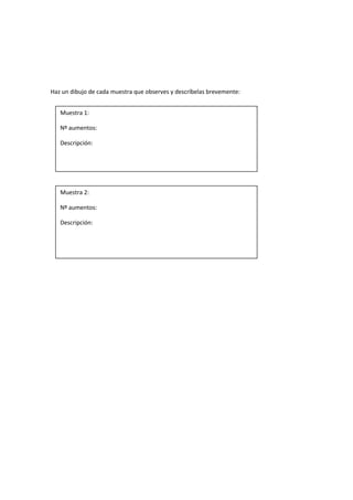 Haz un dibujo de cada muestra que observes y descríbelas brevemente:
Muestra 1:
Nº aumentos:
Descripción:
Muestra 2:
Nº aumentos:
Descripción: