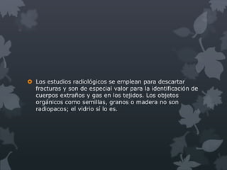  Los estudios radiológicos se emplean para descartar
  fracturas y son de especial valor para la identificación de
  cuerpos extraños y gas en los tejidos. Los objetos
  orgánicos como semillas, granos o madera no son
  radiopacos; el vidrio sí lo es.
 