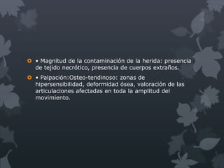  • Magnitud de la contaminación de la herida: presencia
  de tejido necrótico, presencia de cuerpos extraños.
 • Palpación:Osteo-tendinoso: zonas de
  hipersensibilidad, deformidad ósea, valoración de las
  articulaciones afectadas en toda la amplitud del
  movimiento.
 